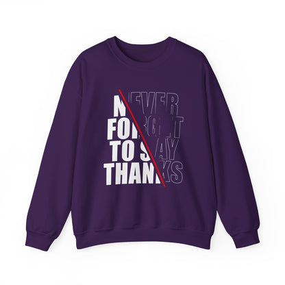 Sweatshirt - BENJAMINS S / Purple